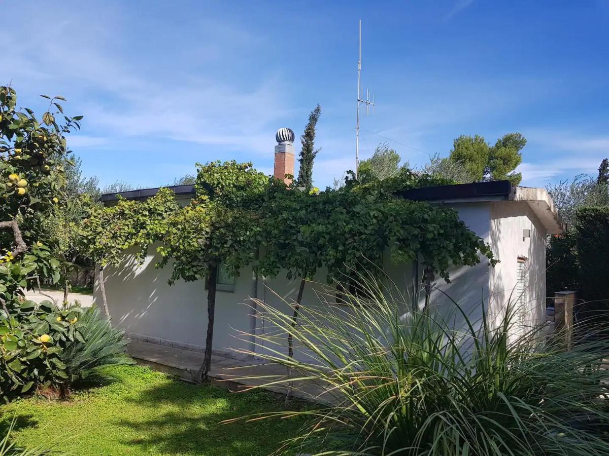Holiday home Gli Ulivi *