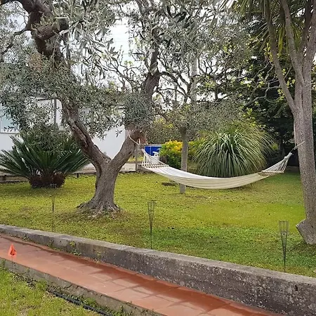 Countryhouse Gli Ulivi Modugno Exterior photo