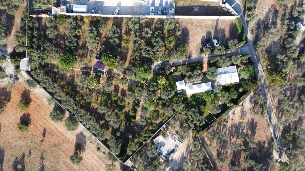 Holiday home Gli Ulivi *