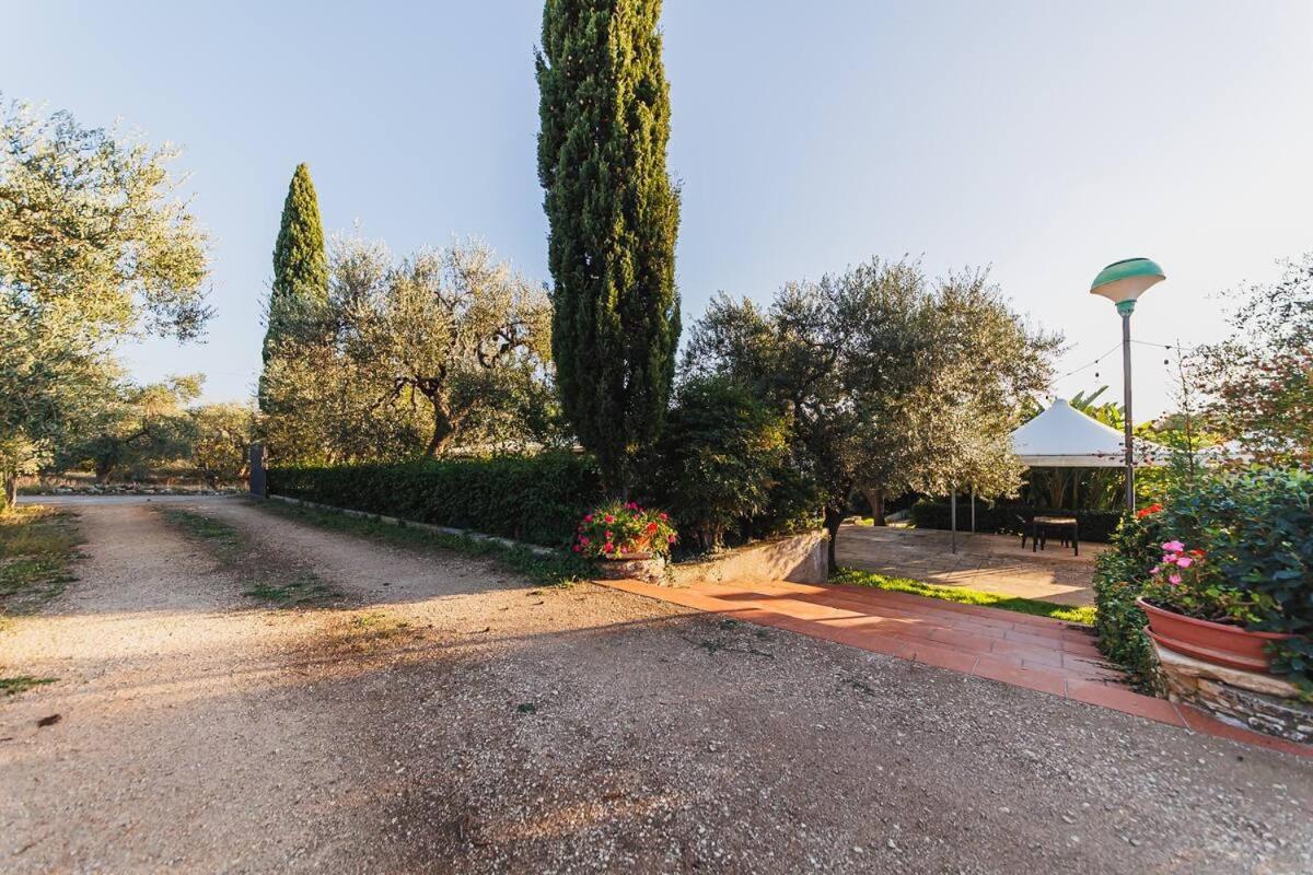 Gli Ulivi