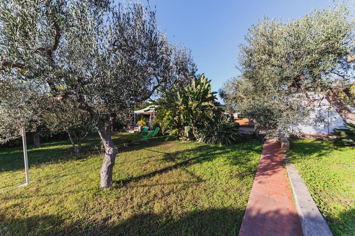 Holiday home Gli Ulivi *