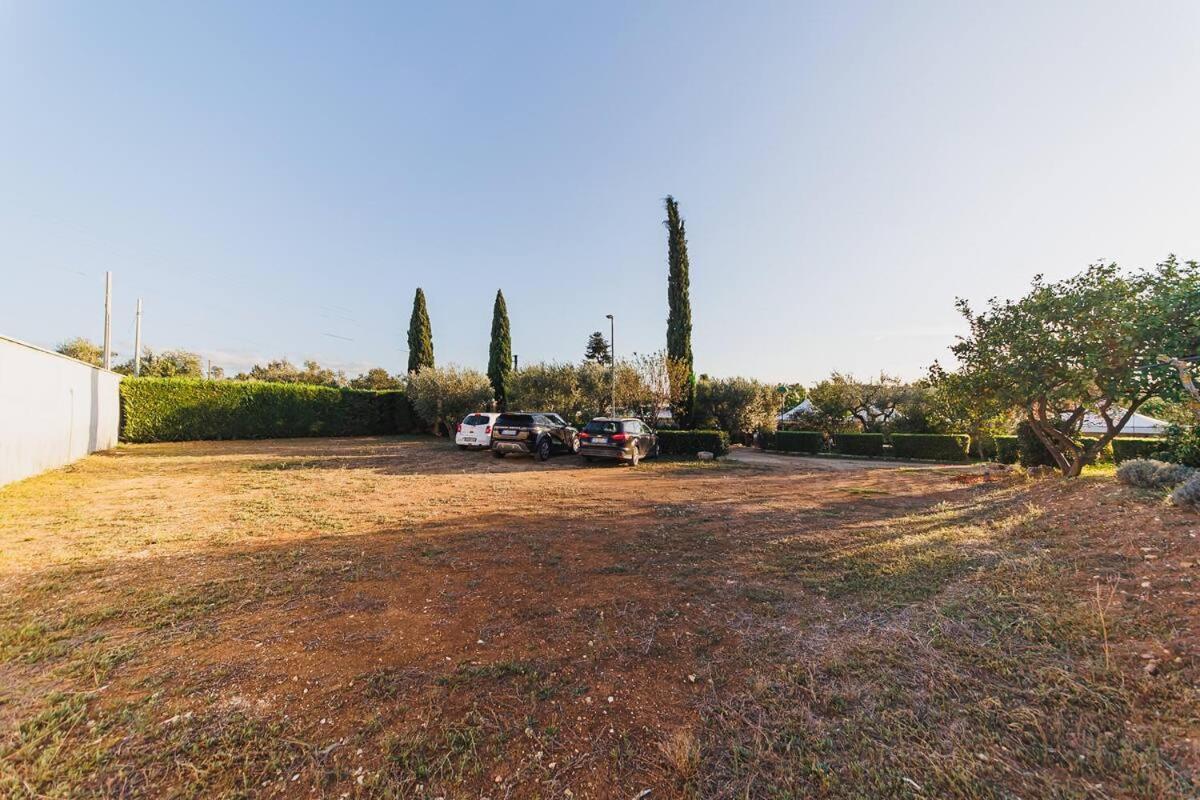 Gli Ulivi Holiday home *